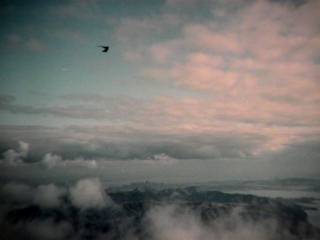 hang gliding at Mt Tam